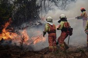 Asturias registra 116 incendios con más de 500 efectivos en las labores de extinción
