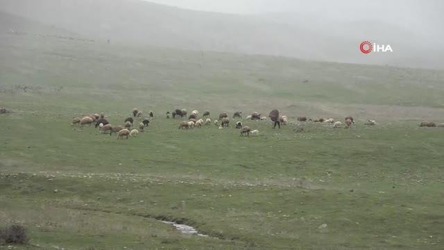 Muş'ta kar yağışı hayatı olumsuz yönde etkiledi