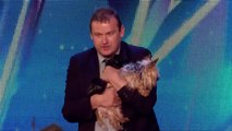 OOPS! When Animal Auditions Go Wrong! | Got Talent Global