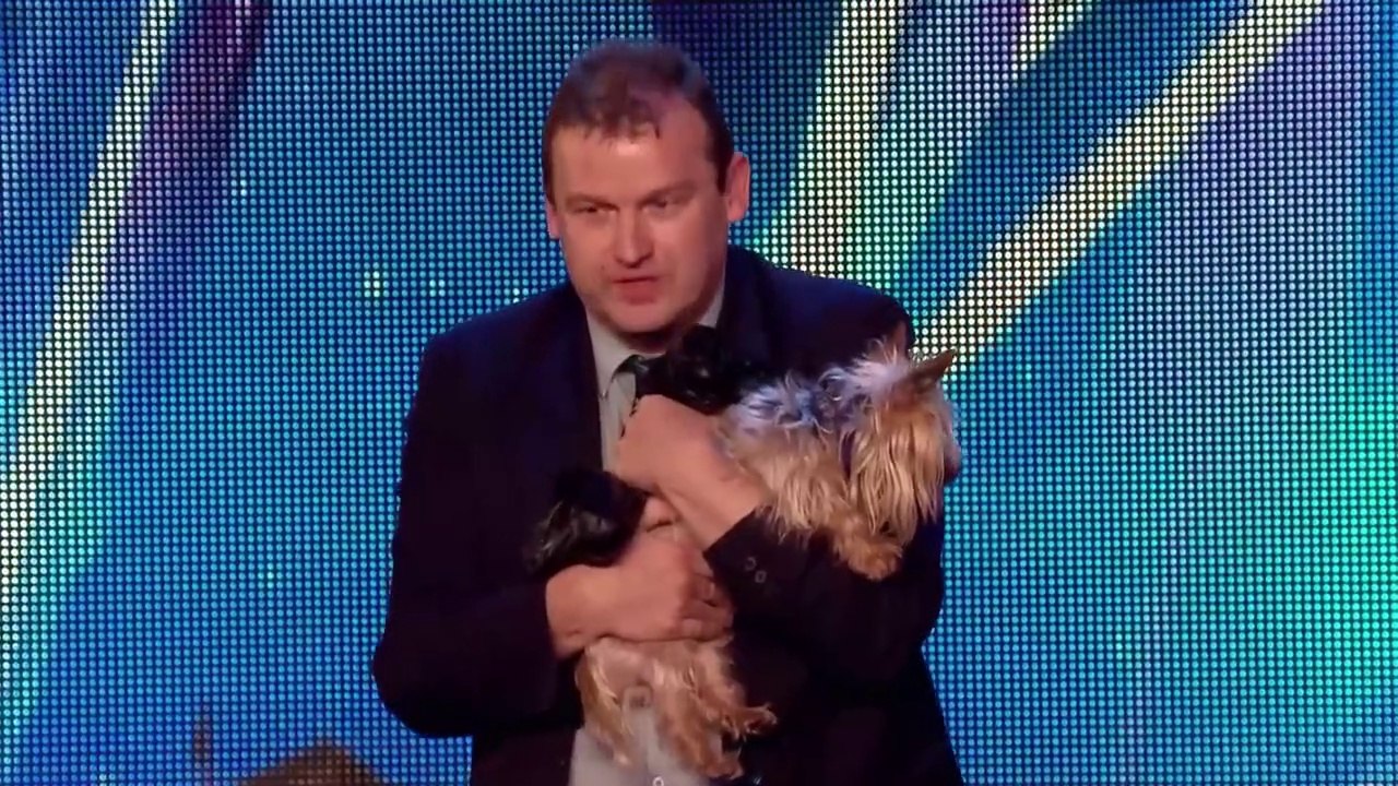 OOPS! When Animal Auditions Go Wrong! | Got Talent Global