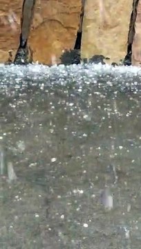 जिले के कई जगह तेज हवा के साथ बारिश, गिरे भी ओले, किसानों की उम्मीदें धराशायी - जिला मुख्यालय पर भी हुई बारिश