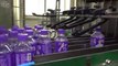 Korean drinking water plastic bottles mass production process in alkaline water factory