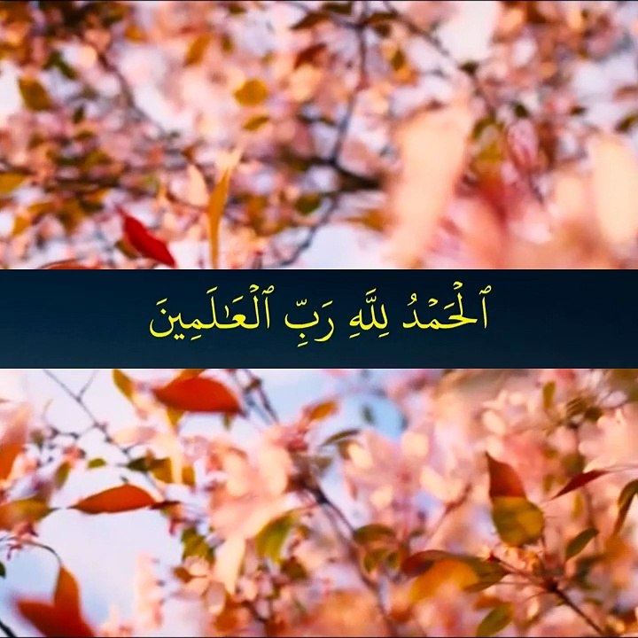 اللہ تعالی سے مانگنا