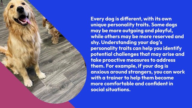 Dogs Tail - Understanding Your Dog's Personality Traits