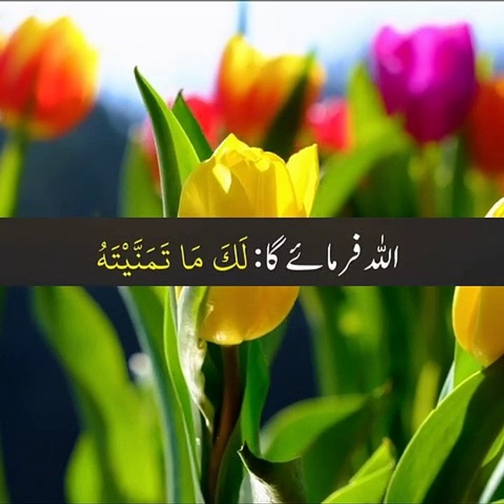 آخری جنتی