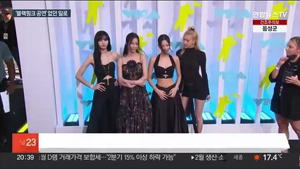 대통령실 "블랙핑크 공연, 방미 일정에 없어"