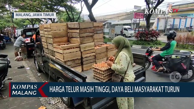 Harga Telur Masih Tinggi, Daya Beli Masyarakat Menurun
