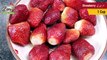 Fresh Strawberry Milkshake | How To Make Refreshing Summer Drinks | by Zani’s Kitchen Secrets