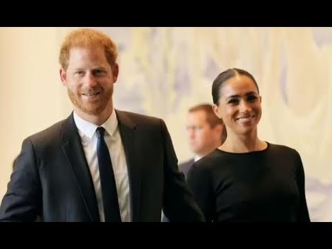 Harry et Meghan fustigés par Nigel Farage alors qu'il dit qu'ils ne peuvent absolument pas être su