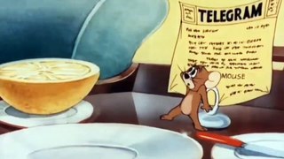 Tom And Jerry Funny Cartoons -Funny Cartoons NETWORKS - WB Animation -Mega Episode -Tom Butler