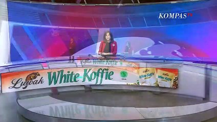 Gerebek Ladang Ganja Seluas 2 Hektar di Aceh Utara, Polisi Tangkap 1 Orang Perawat Kebun!