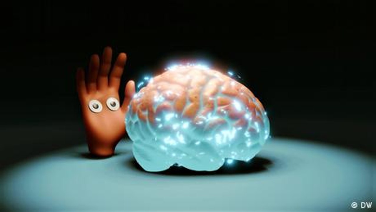 Wie das Gehirn unsere Hände steuert