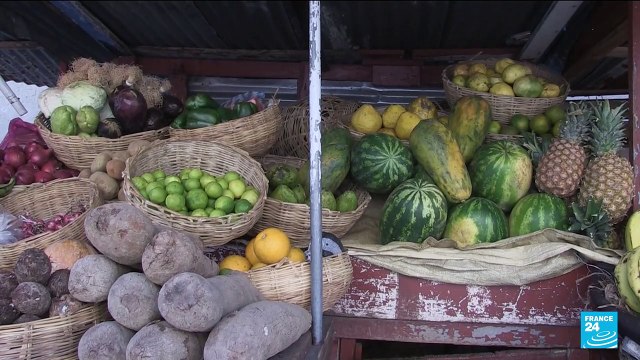 Haiti crisis: Political instability and gang violence after Moïse's killing