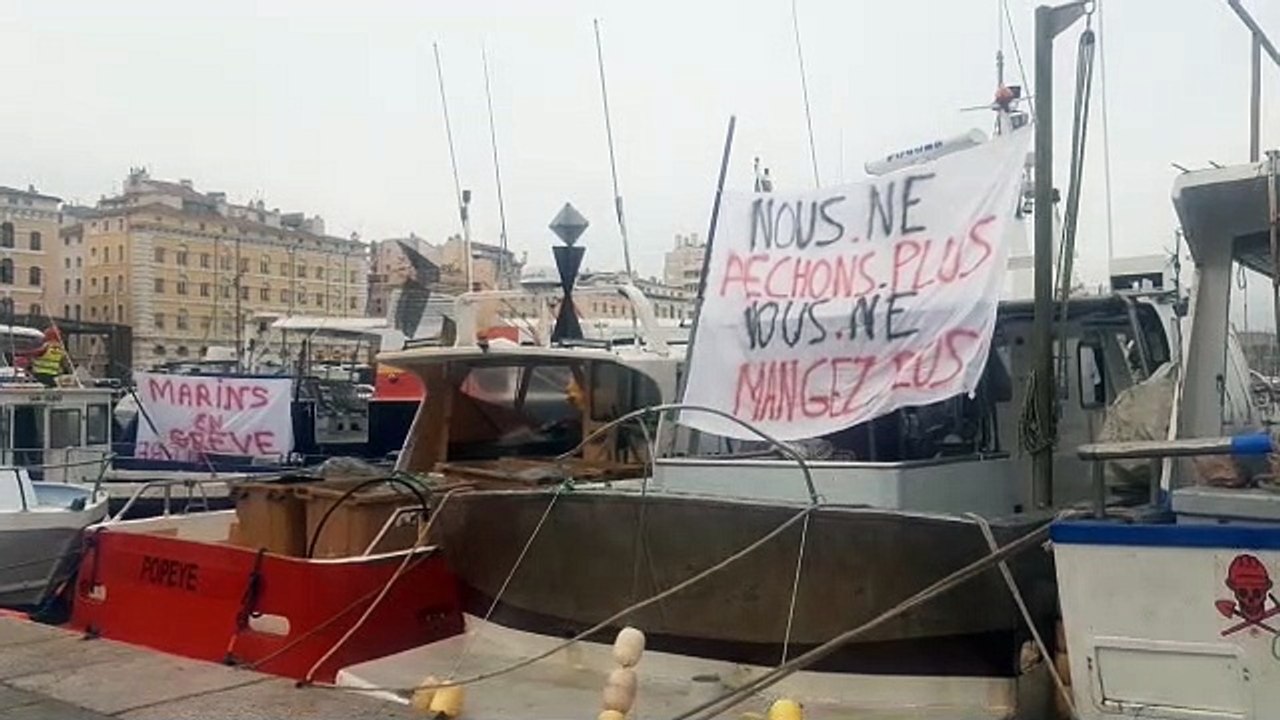 Vieux Port de Marseille : des pêcheurs manifestent contre un projet de loi européen