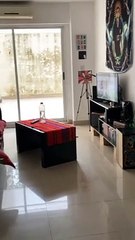 Dog Lounges on Couch to Watch TV