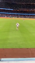 Il n'aurait peut-être pas dû entrer sur le terrain d'un match de baseball pour faire sa demande en mariage