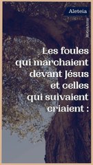 Carême 2023 : Dimanche des rameaux