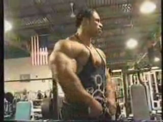 kevine levrone training deltoid