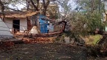 Trees fell due to strong winds, hail fell with rain in half a dozen villages