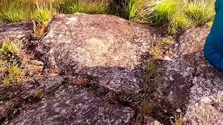 beautiful nature short video| Beautiful nature wallpapers| wallpapers| beautiful images of nature