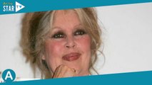 Brigitte Bardot : pourquoi avait-elle refusé la légion d’honneur ?