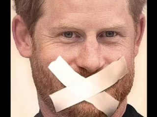 Il principe Harry è "facile da prendere in giro" perché "è un po' stupido", dice l'autore della paro
