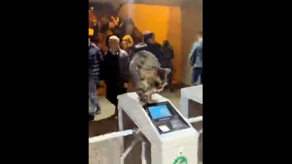 Ce controleur RATP ne rigole pas