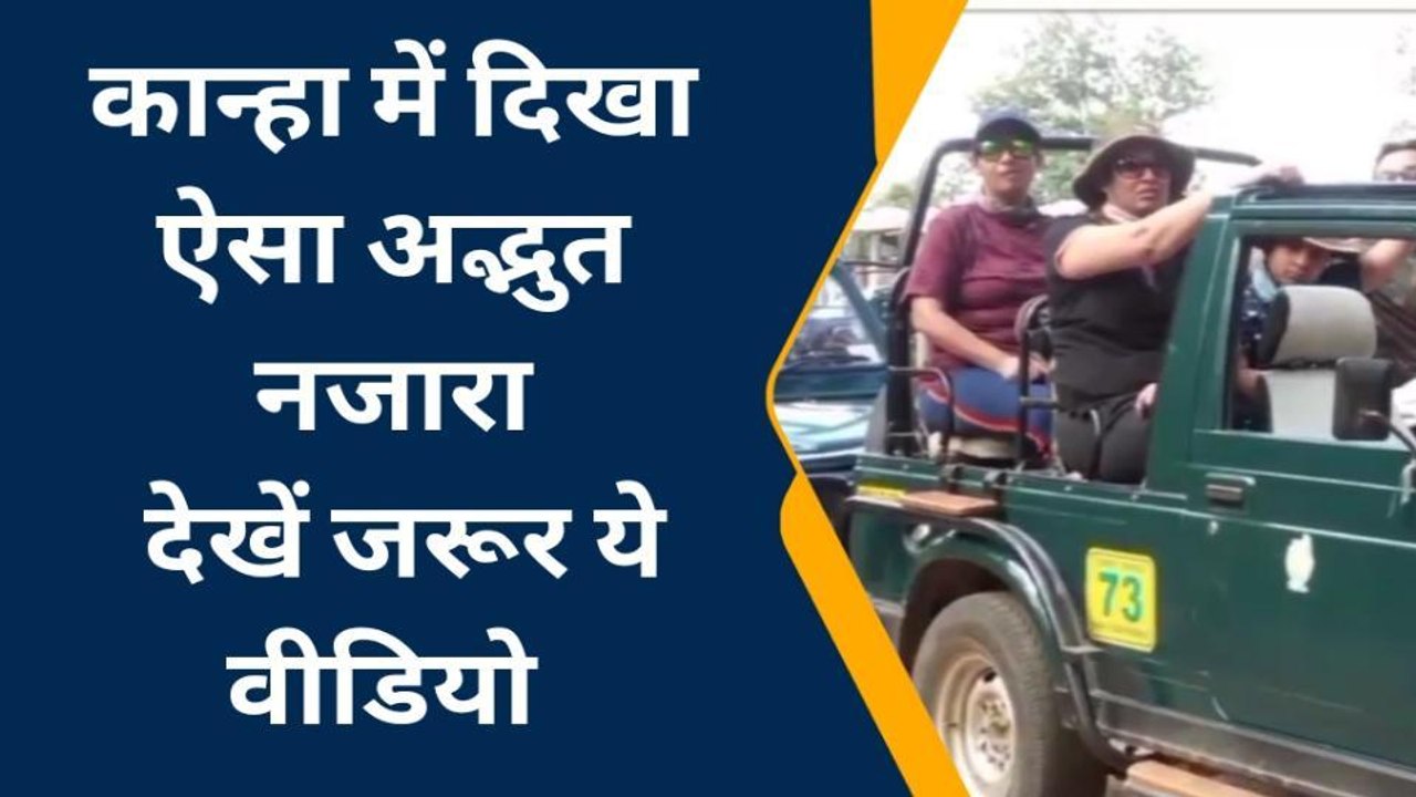 Viral: शावकों के साथ अठखेलियां करती बाघिन,जमकर...