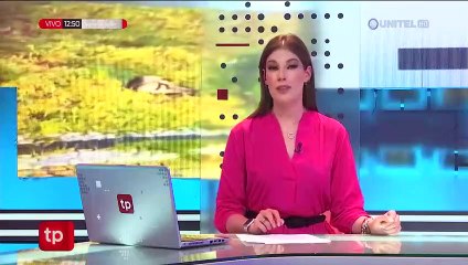 Ratones en la plaza Murillo, centro político del pa´si