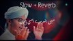 Main Banda e Aasi Hun , Slowed and Reverb, Hasan Ullah Hussaini naat , Islamic