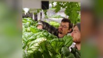Production alimentaire durable : Récolte d'hiver et conception de systèmes alimentaires