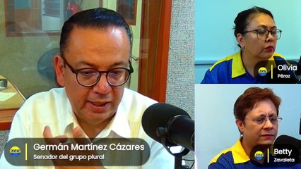 ¿Cuál es el futuro del INE?