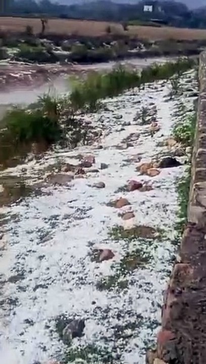 खेतों में ४ इंच मोटी ओलों की चादर, तूफान से बहरोड़ में उखड़े खम्बे .... देखे वीडियो