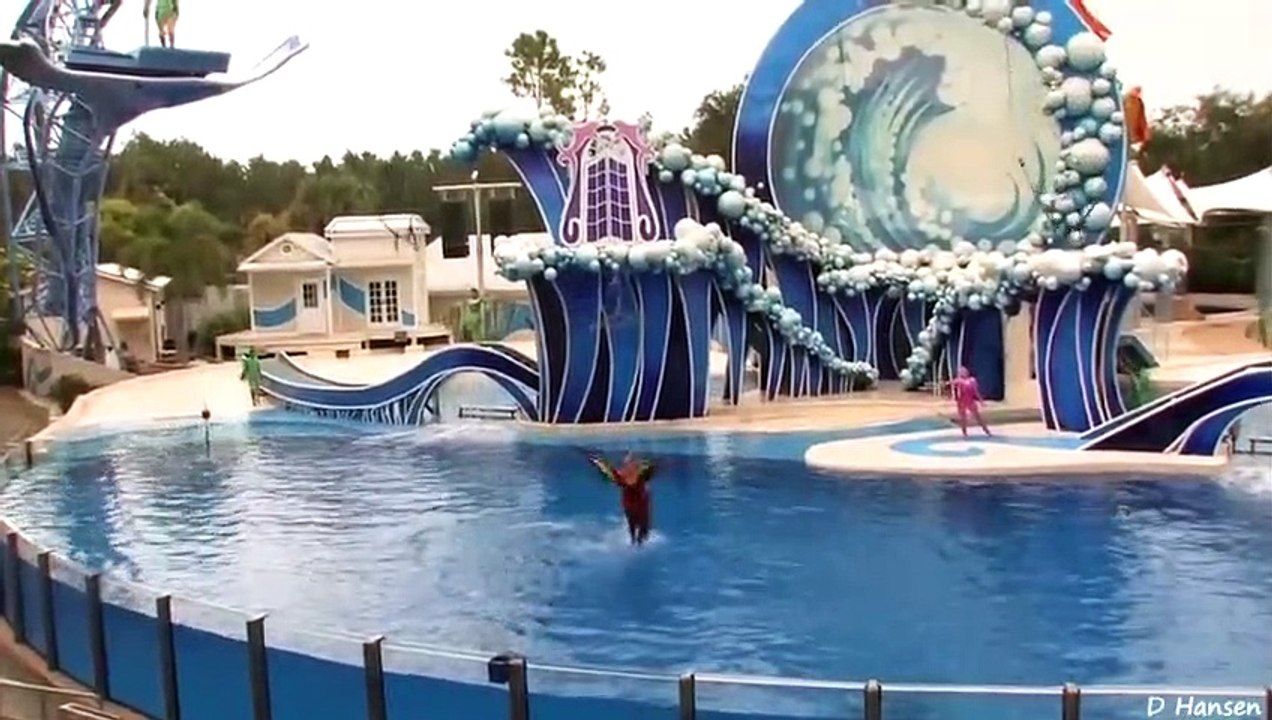 The Complete SeaWorld 'Blue Horizons' Dolphin Show