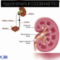 kidney stones causes and homeopathic treatment