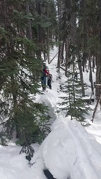 Reece vs. log (SUCCESS)