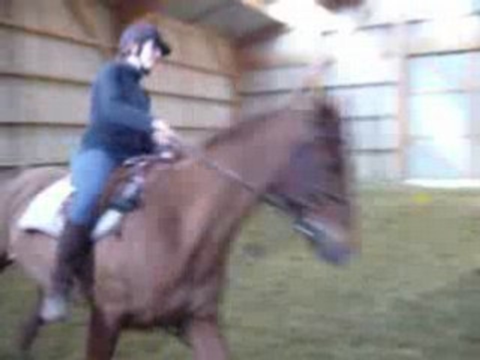 Cha' & Earling au galop
