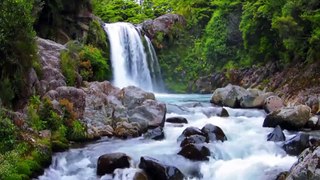 Beautiful landscape waterfall with birdsong for meditation and calm
