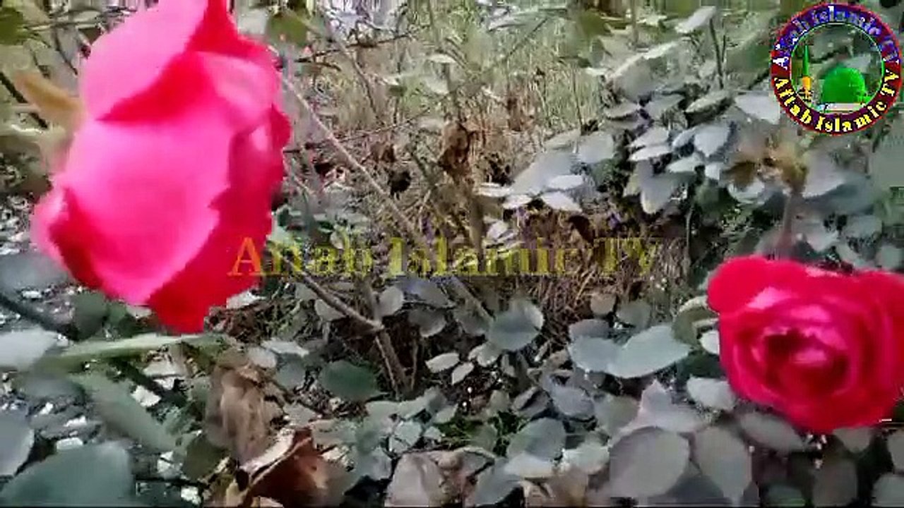 ramadan holidays khaleej times