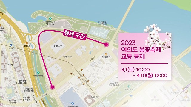 4년 만에 여의도 봄꽃축제...오늘부터 열흘동안 주변 교통 통제 / YTN