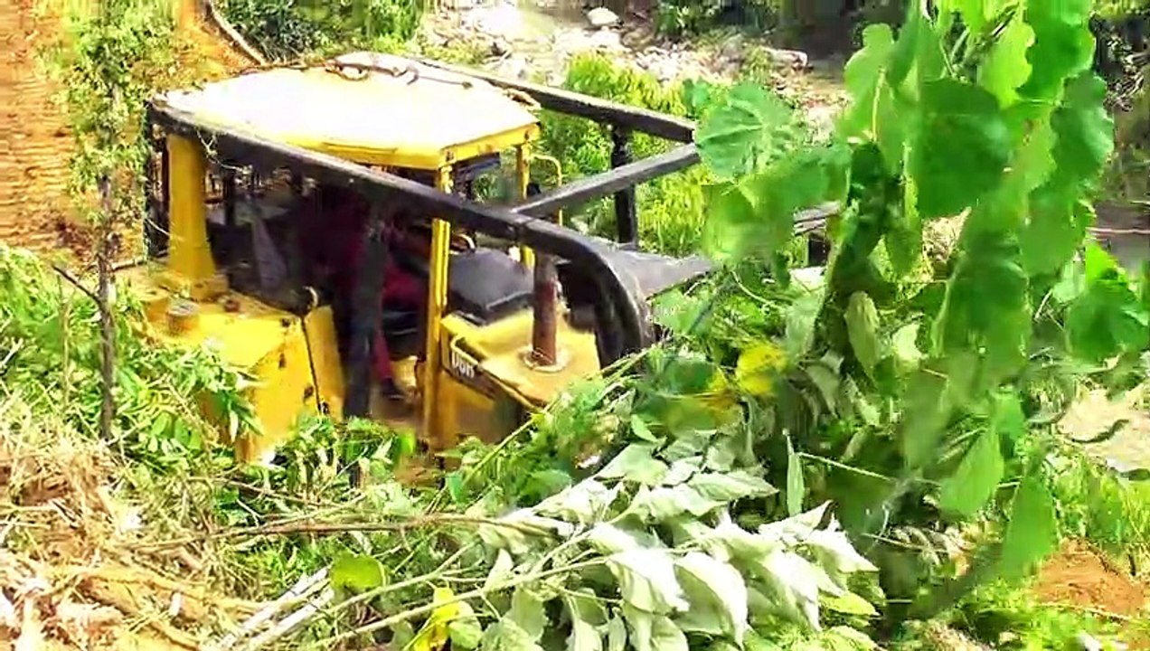 Big Work of Bulldozers on Oil Palm Land || Bulldozer D6R XL