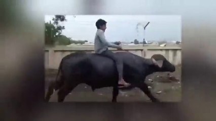 Funny/Pakistan/India: Funny #moj #Funny