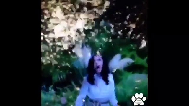 Best Pet and Animal Vines 2015 Compilation of Funny and Awesome Pet Vines!