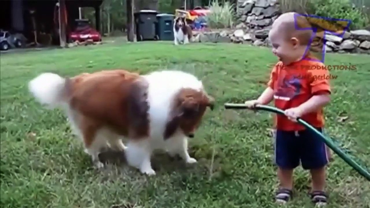 Funny babies and animals bathing together - Cute baby & animal compilation - FULL HD (2)