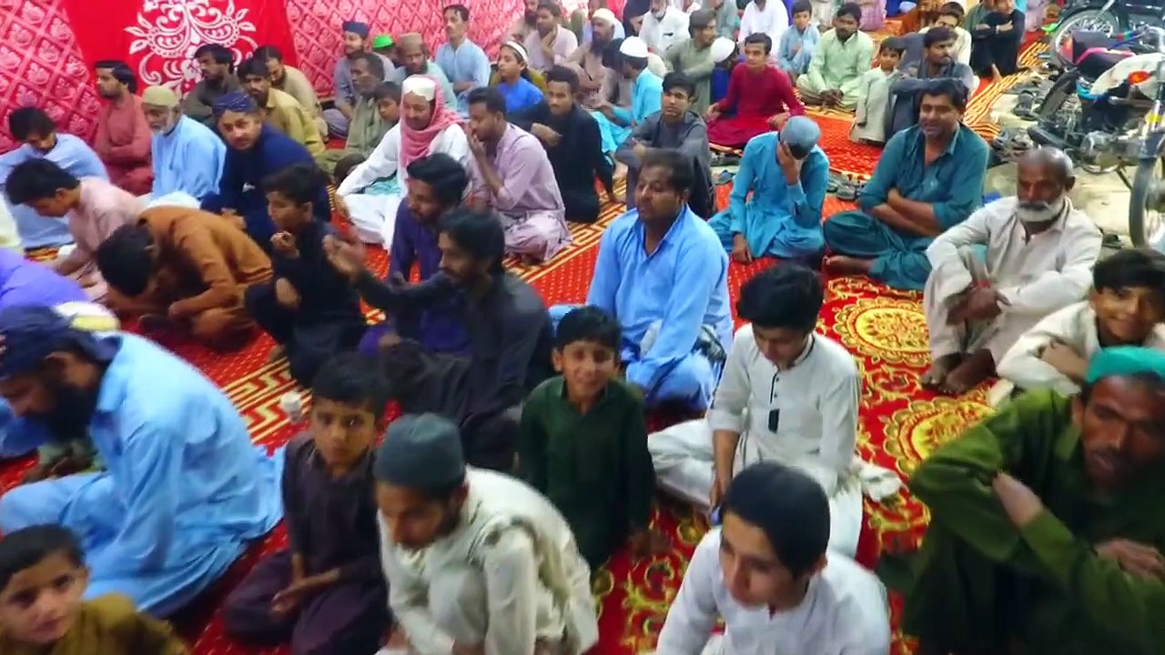 A Cat in Madina .A cat in Masjid Nabvi saw.   Madina ki Bilee. Bilee ka qisaa