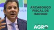 Arcabouço fiscal de Haddad vai elevar impostos do agro? | HORA H DO AGRO