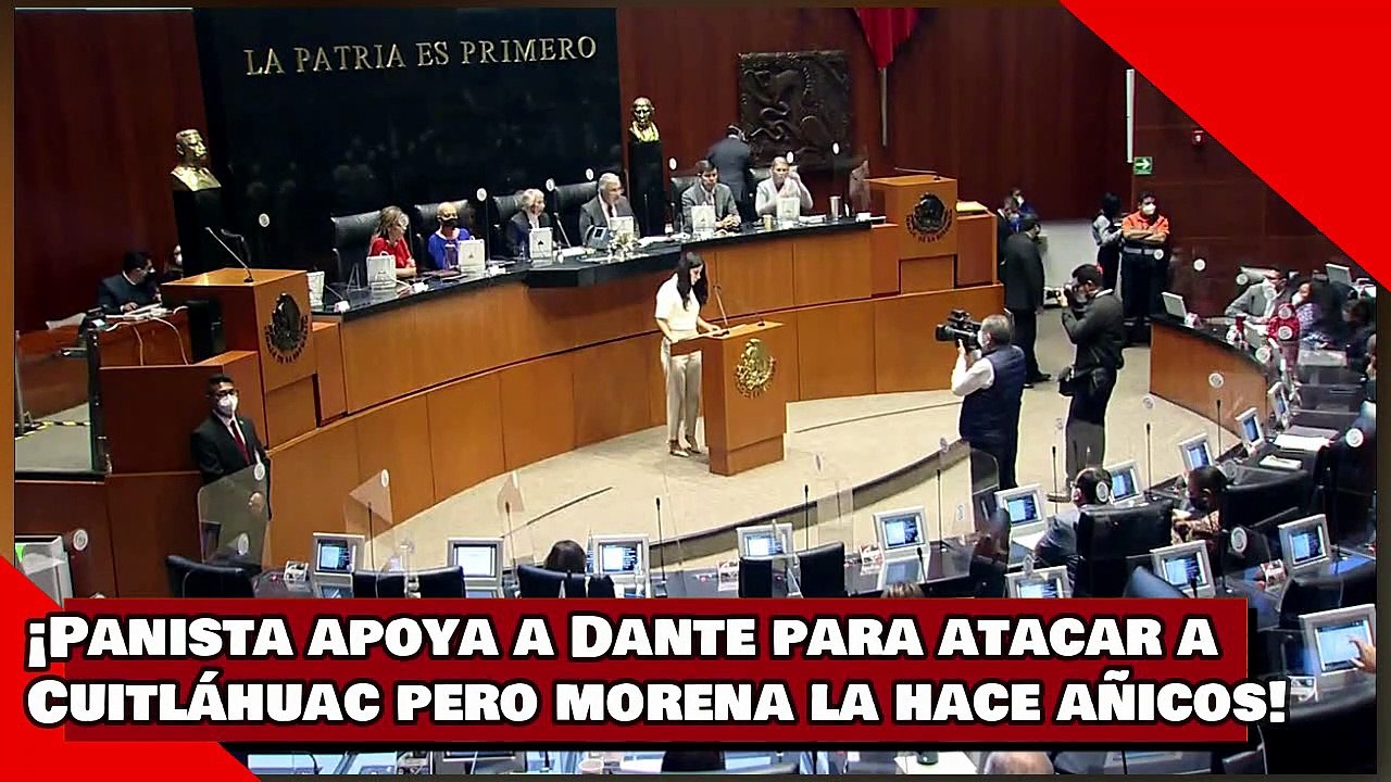 ¡VEAN! ¡Panista apoya a Dante para atacar a Cuitláhuac pero morena la hace añicos!