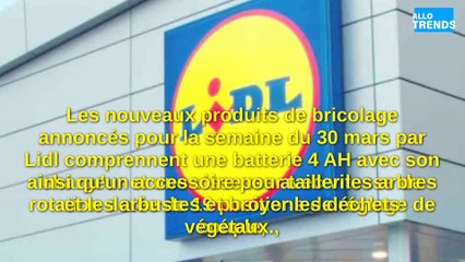 La nouvelle gamme de bricolage à petit prix de Lidl fait sensation !