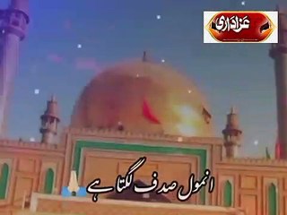 Mola Hussain as well ❤️‍❤️‍