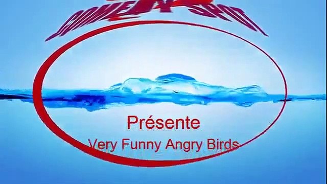 ANGRY BIRDS Funny Animals Videos Funny Fails Comedy Conures Bell Animal Funny Video 2013